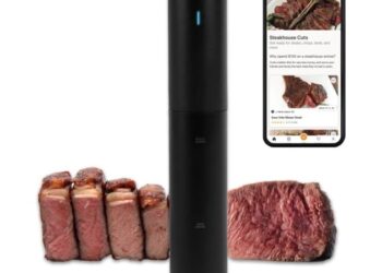 *HOT* Anova Sous Vide Precision Cooker solely $20 (Reg. $95!)